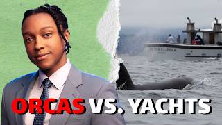 Orcas Are Officially At War With Rich People 😂 | Josh Johnson Stand Up Comedy