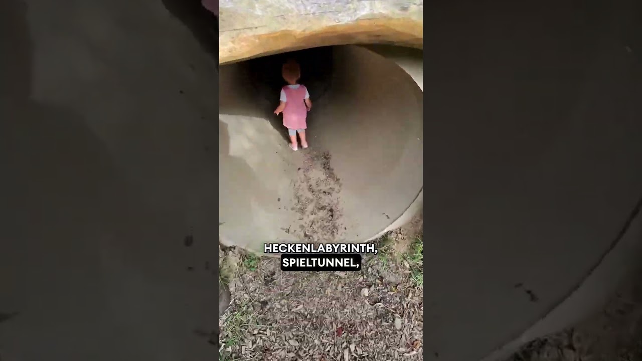 Jugendherberge Panarbora Was man im Park erleben kann