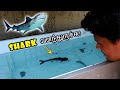 My Shark Fish Update! 🦈 | இப்போ Shark வளந்துருச்சு! | Fridge Box Cleaning | Vijay Vlogs