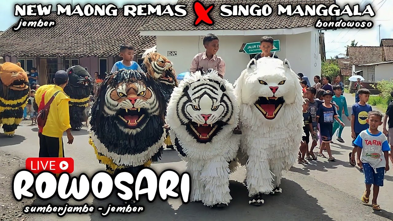 BARU!! FULL New Maong Remas & Singo Manggala tampil di ROWOSARI | drumband can macanan | lion dance