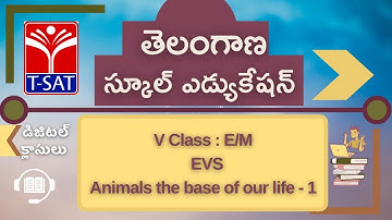 T-SAT || SIET || V Class - E/M || EVS – Animals the base of our life - 1