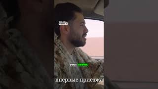 Легенды пустыни  верблюды и миражи