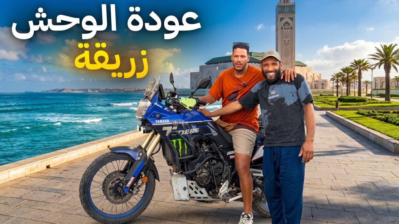 Original Title & Thumbnail