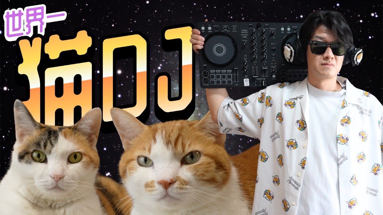 ねこぬこ ふぁいふぁいしようぜ！｜猫DJ｜生放送 - YouTube