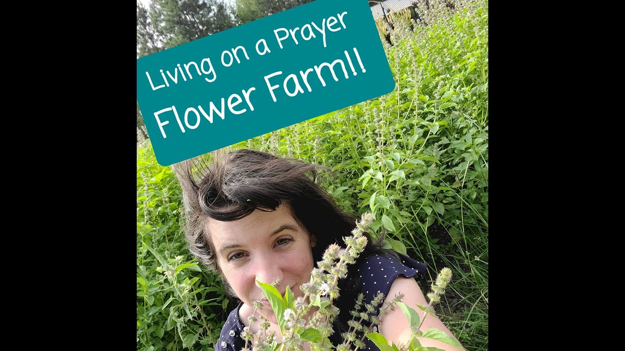 Living on a Prayer Farm Intro