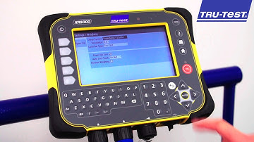 How to check your Tru-Test weigh scale settings
