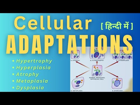 cellular ADAPTATION 》 in hindi 》 basic pathology for mbbs. # ...