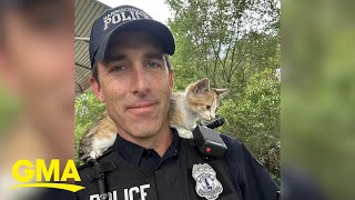 Police officer adopts kitten 'thrown from window' who clung to his shoulders