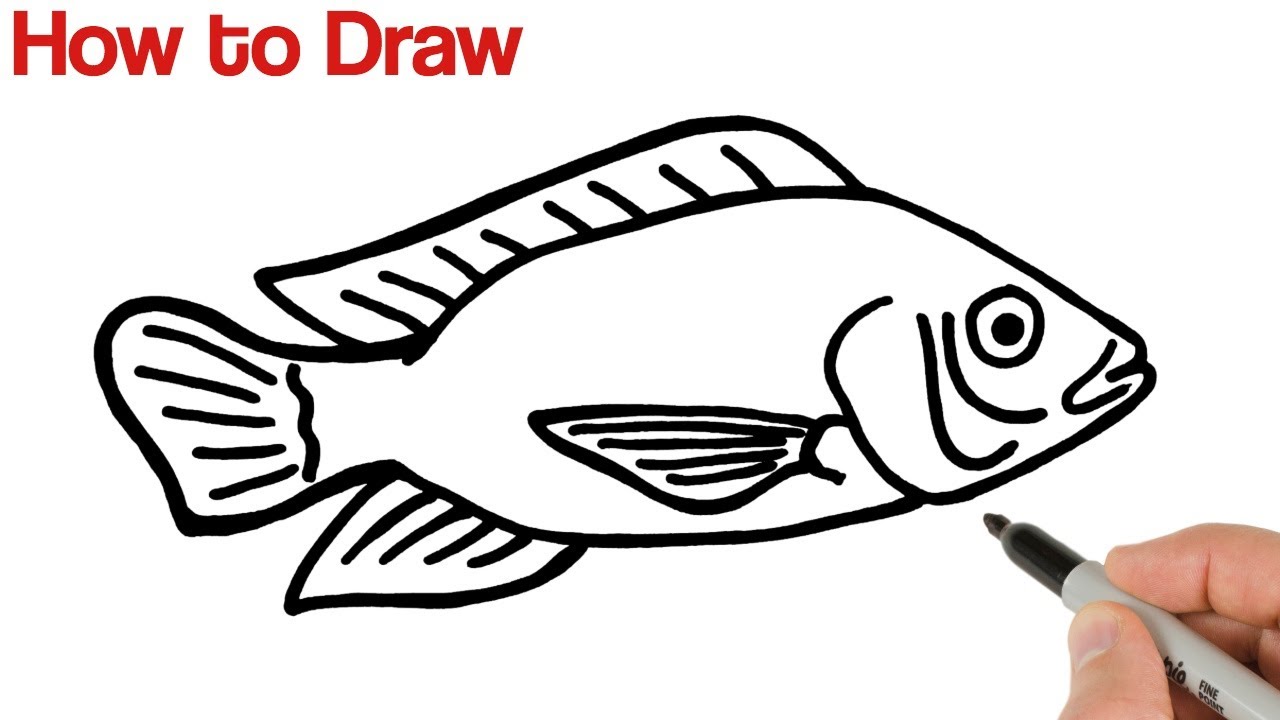 Premium Vector | Cute line fish vector sketch decorative doodle exotic fish  illustration coloring