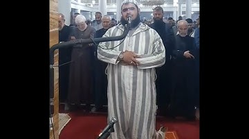 قطة تصعد على كتف القارئ وليد مهساس في المسجد أثناء أداء صلاة التراويح