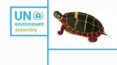 UN Environment Assembly 3: Minister Gutiérrez, Costa Rica