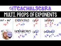Understanding Exponents and Monomials