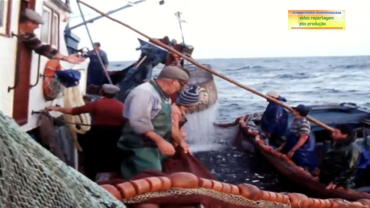 Pesca da Sardinha - Figueira da Foz 1989