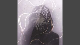 øΔ©ß©Σ⌐⌡