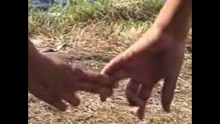 Download lagu take that reach out