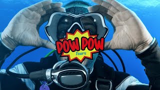 Certified Divers - Albufeira, Algarve, Portugal by  @powpowtours