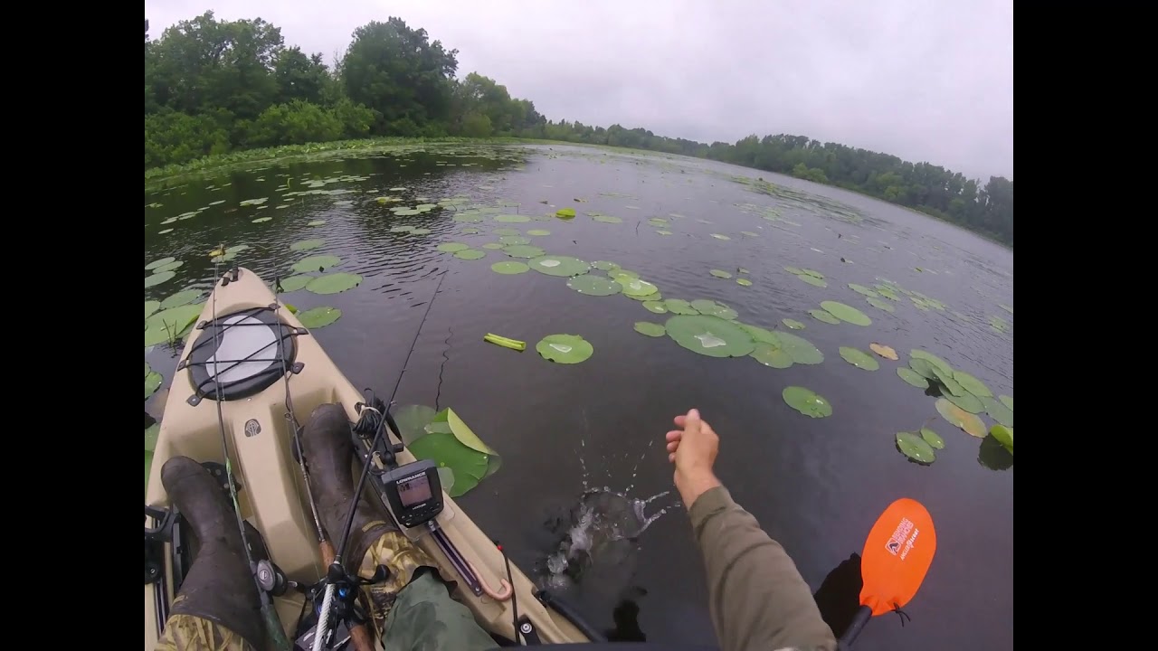 Bass Fishing In The Lilly Pads YouTube