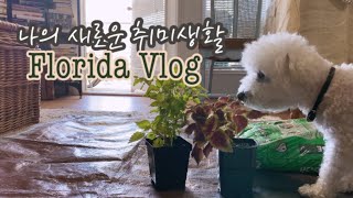 미국일상🪴수줍은 나의 정원🌿 '새로운 취미' 식물키우기