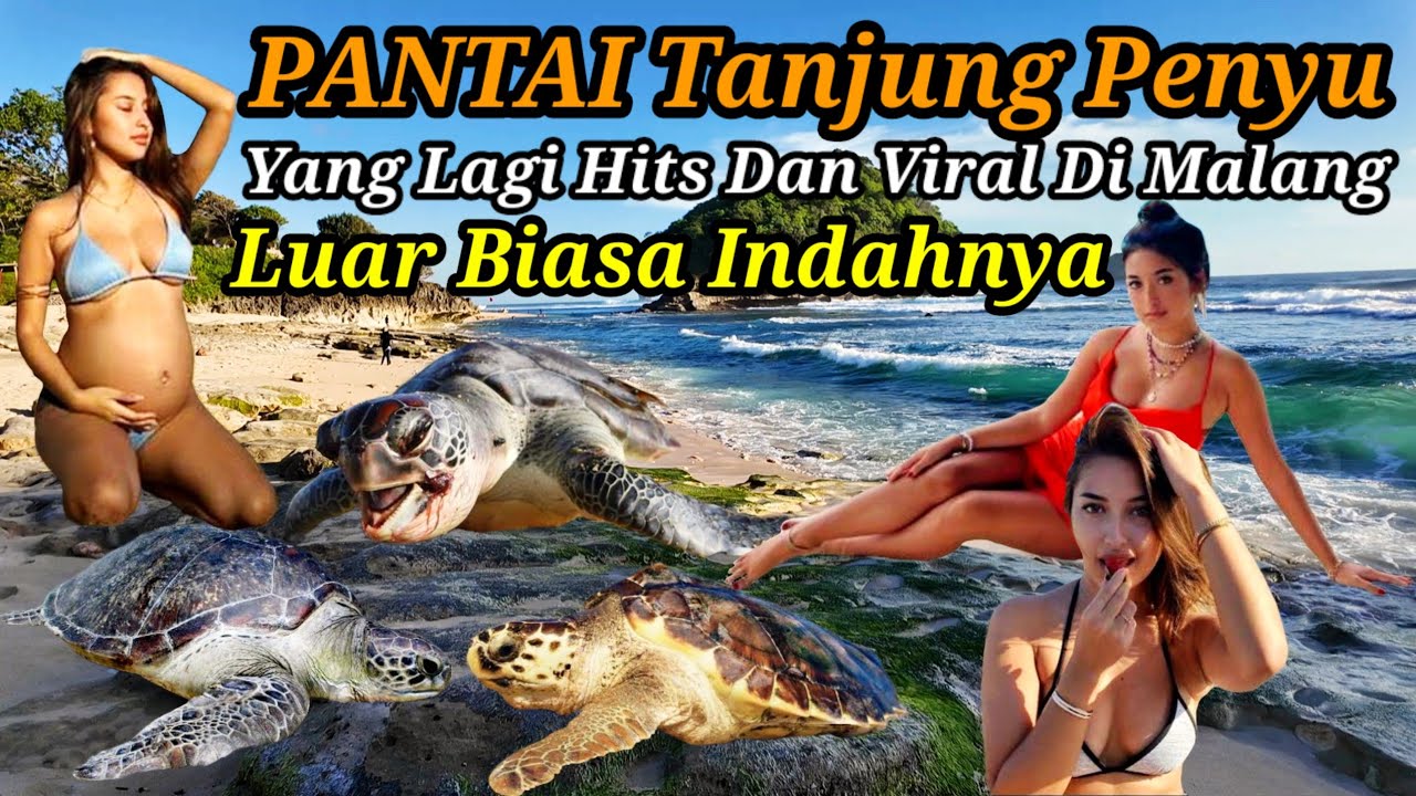 Pantai Tanjung Penyu Malang Yang Lagi Viral Luar Biasa indahnya