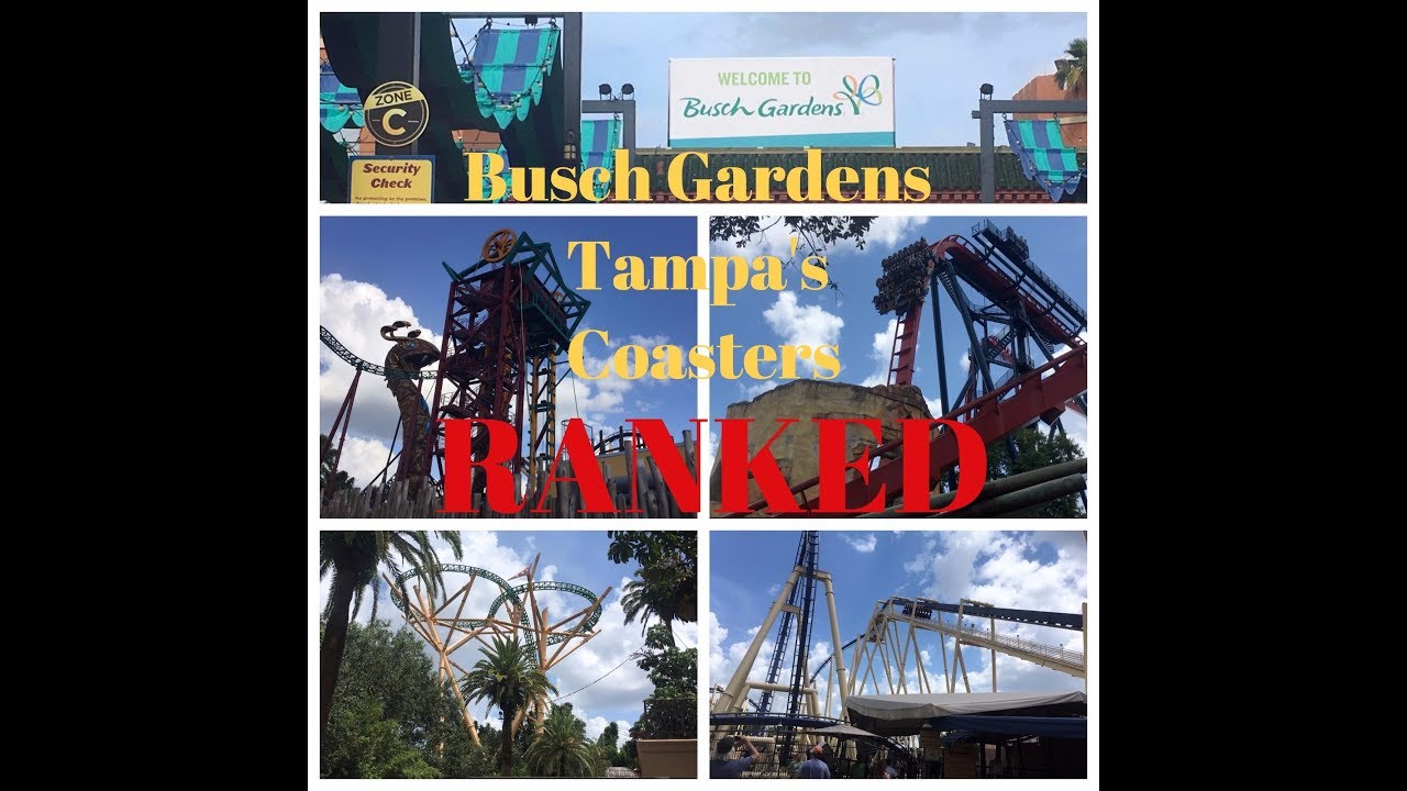Ranking the Roller Coasters at Busch Gardens Tampa YouTube