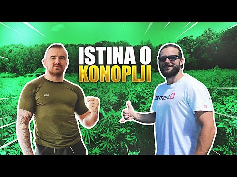 Video: Da li ulje sjemenki konoplje treba hladiti?