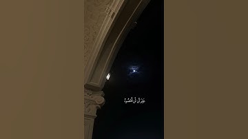 القارئ عبدالرحمن مسعد