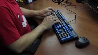 Typing Demo XL - Cherry MX Silent Red/"Pink" (Leopold FC900R) (ASMR)
