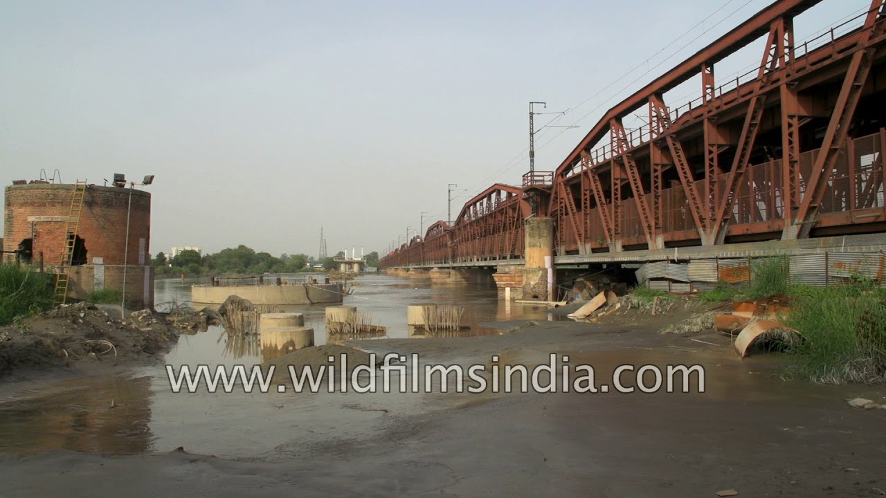 Life by the Yamuna - slum kids get time off near Delhi's river of environmental gloom