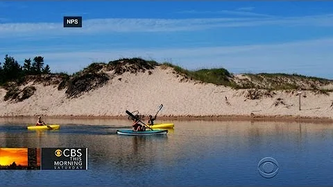 Celebrating 50 years of American wilderness