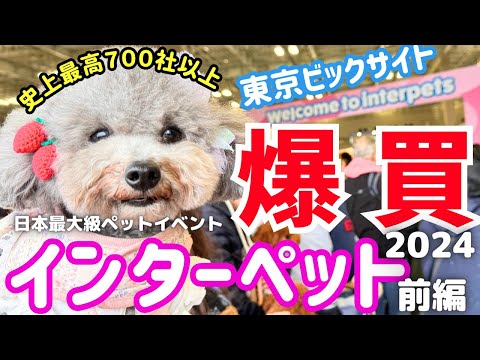 【インターペット2024】日本最大級のペットイベントで爆買い＆無料サンプル ノベルティーに大興奮🐶【東京ビッグサイト】【犬イベント】前編