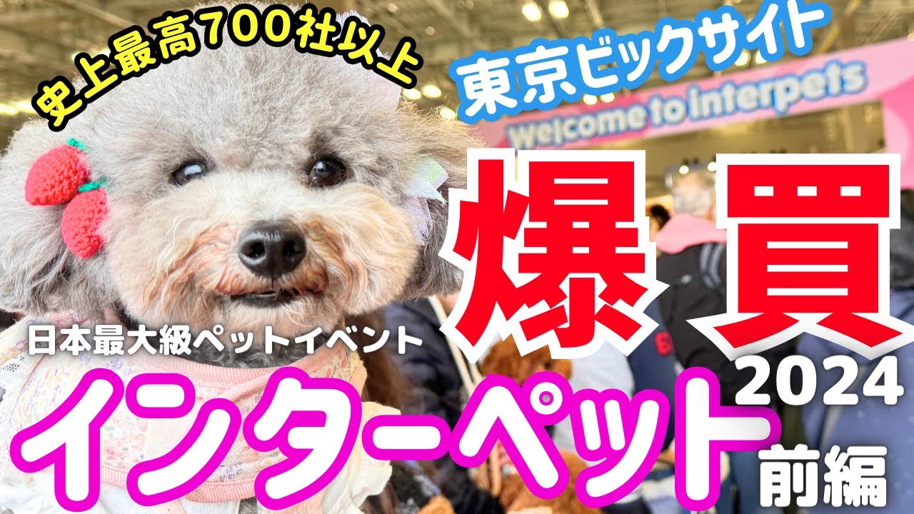 【インターペット2024】日本最大級のペットイベントで爆買い＆無料サンプル試食ノベルティーに大興奮🐶【東京ビッグサイト】【犬イベント】前編 【厳選出展者25社紹介・過去最多739社】