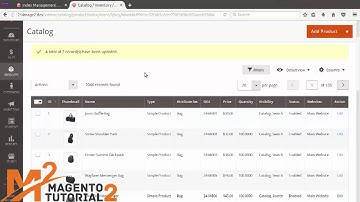 Magento 2 Tutorial: How To Create Custom Indexer Reindex in Magento 2 part 4/5