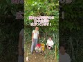 菌ちゃん先生/今までの農業ではありえません！#菌ちゃん #菌ちゃん畑 #田舎暮らし #自然農