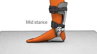INFO 01 : Stance phase function