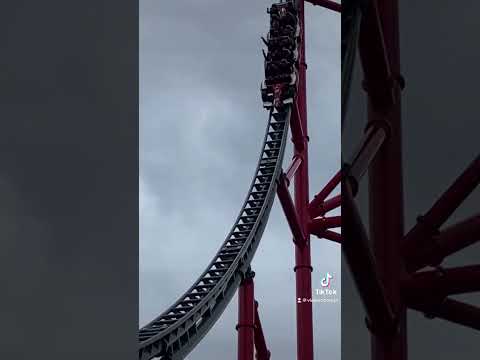 ¿QUE ARNÉS PREFIERES? ¿SHAMBHALA🎢 o RED FORCE🏎️?