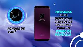 Fondos de pantalla 4k para tu celular, app android gratis ⭐⭐⭐⭐⭐ screenshot 3