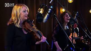 Video 1 thumbnail for Songbirds