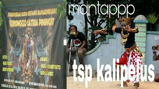 Turonggo Satria Piningit Kalipelus