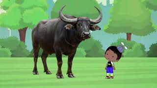 Little me and the Water Buffalo?!? 🦬🤣