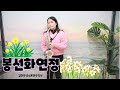 봉선화연정(현철) - 김민주색소폰연주악보