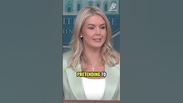 Leavitt loses it when asked why she is calling Epstein a “hoax”