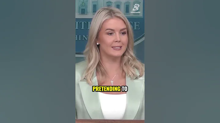 Leavitt loses it when asked why she is calling Epstein a “hoax”