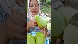 Satu kata dong untuk alpukat jenis ini ???  #alpukat