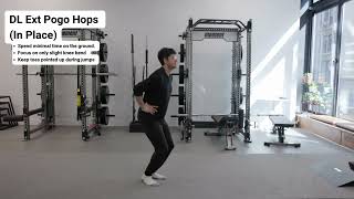 DL Ext Pogo Hops (in place)