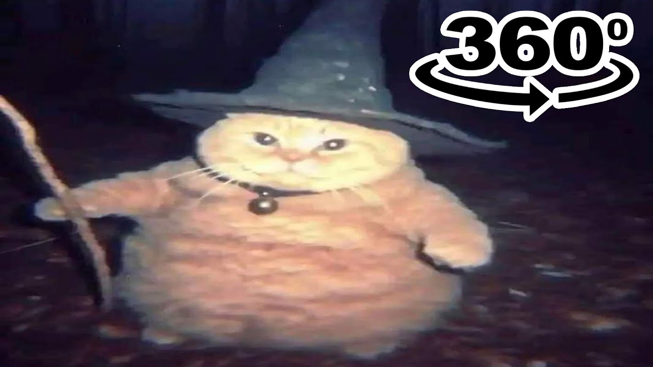 Wizard Cat Original 360º