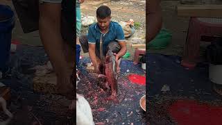 Skilled Hands Cutting Big River Fish | Amazing Technique 😍#fish #fishcutting #shorts