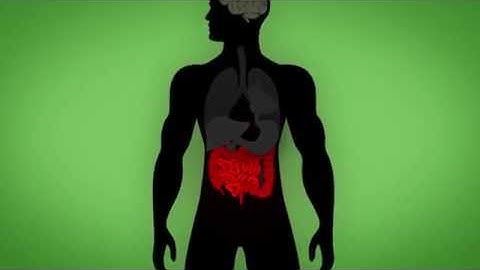 Brain Maker by Dr. David Perlmutter