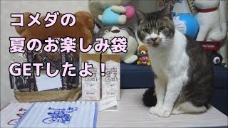 【猫と一緒に商品紹介】コメダの『夏のお楽しみ袋・サマーバッグ』をGETしたよ☆クリアバッグはリキちゃんのおやつ入れ確定？☆福袋☆猫動画☆猫のもぐもぐタイム！