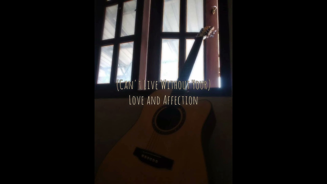 (Can't Live Without Your) Love and Affection by Nelson (Acoustic Cover)