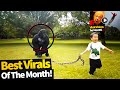 Viral Videos of the month June (2020)